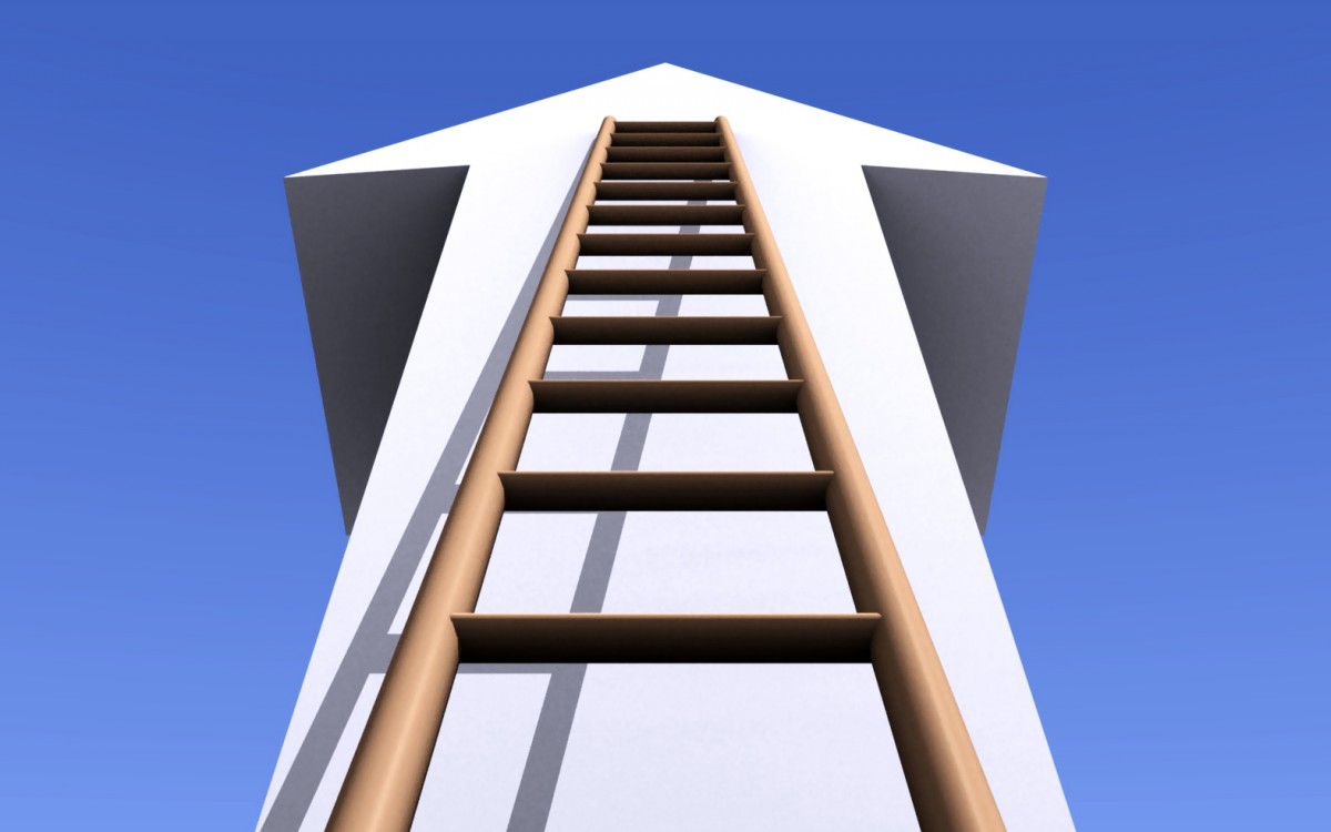 loopbaan ladder